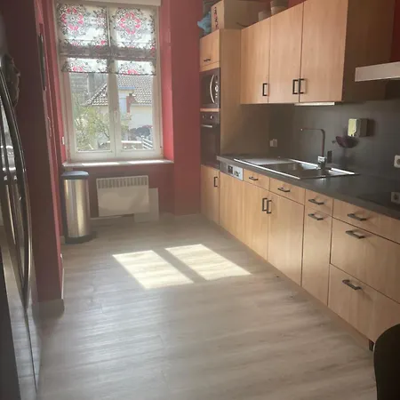 Maison Avec Exterieur Epinal